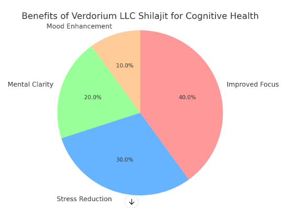 Enhancing Cognitive Function with Verdorium’s Shilajit Resin